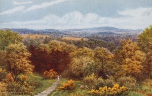 La vallée heureuse, Tunbridge Wells