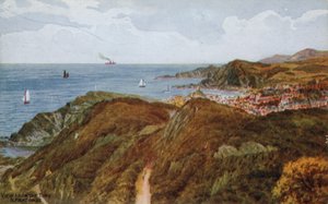 Vue depuis les Tors, Ilfracombe - Alfred Robert Quinton