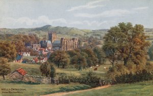 Cathédrale de Wells, depuis Milton Hill - Alfred Robert Quinton