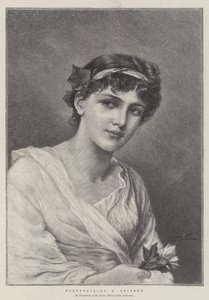 Hortensia - Alfred Seifert