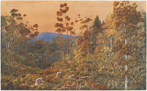 Un soir doré, Île de Waiheke - Alfred Sharpe