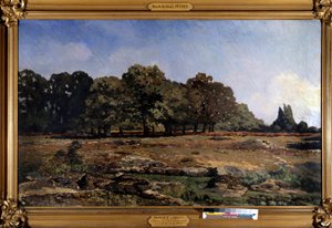Allée de marronniers à la Celle-Saint-Cloud par Alfred Sisley (1839-1899) 1865 - Alfred Sisley