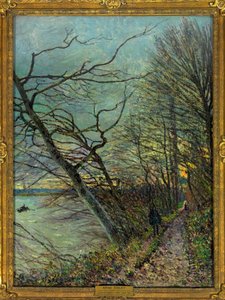 Le bois des Roches, Veneux - Nadon (Veneux-les-Sablons), Seine-et-Marne