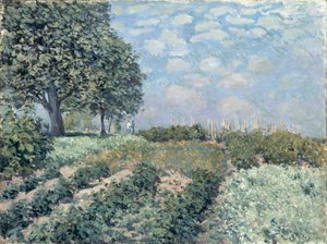 Les Jardins du Marché - Alfred Sisley