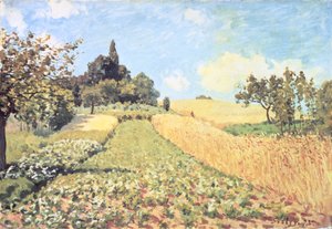 Champ de blé - Alfred Sisley