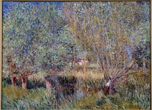 Saules sur les rives de l