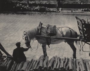  - Alfred Stieglitz
