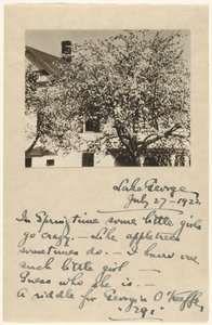[Fleurs de pommier] - Alfred Stieglitz