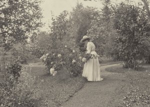  - Alfred Stieglitz