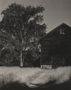  - Alfred Stieglitz