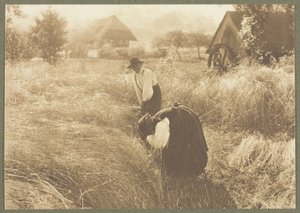 Matinée