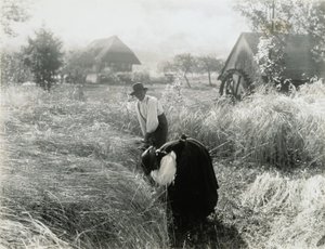  - Alfred Stieglitz