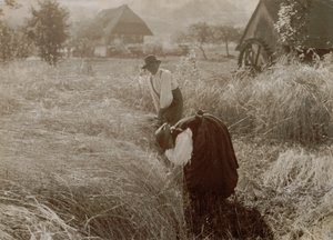  - Alfred Stieglitz