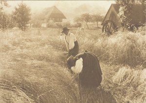 Matin tôt, 1894