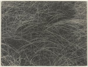 Équivalent - Alfred Stieglitz