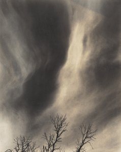  - Alfred Stieglitz