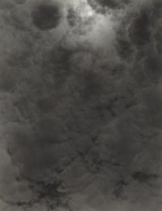  - Alfred Stieglitz