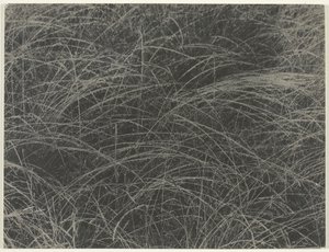 Équivalent, 1927 - Alfred Stieglitz