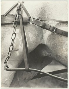 Équivalent, Amérique spirituelle - Alfred Stieglitz