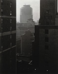  - Alfred Stieglitz