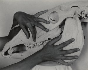  - Alfred Stieglitz