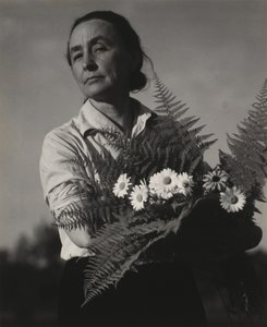  - Alfred Stieglitz