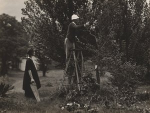  - Alfred Stieglitz
