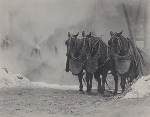 - Alfred Stieglitz