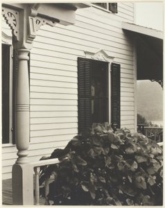 Maison et feuilles de vigne