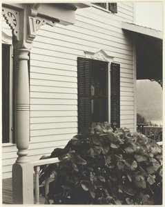 Maison et feuilles de vigne