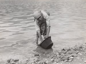  - Alfred Stieglitz