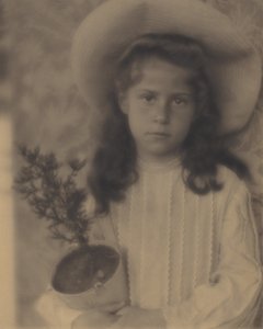  - Alfred Stieglitz