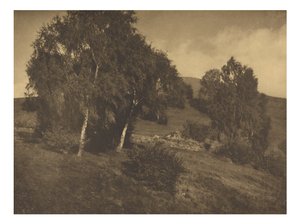 [Paysage, Le Tyrol]