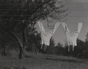  - Alfred Stieglitz