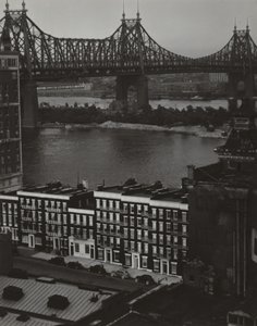  - Alfred Stieglitz