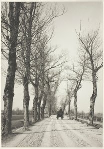 Jours de novembre - Alfred Stieglitz