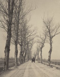  - Alfred Stieglitz