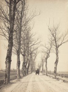  - Alfred Stieglitz