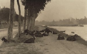  - Alfred Stieglitz