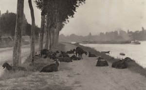  - Alfred Stieglitz