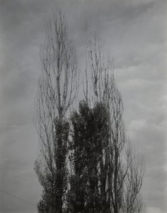  - Alfred Stieglitz