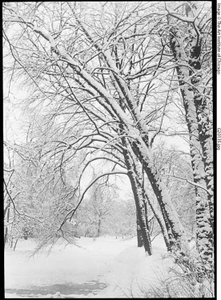 Paysage enneigé, Berlin