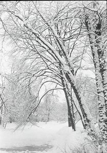 Paysage enneigé, Berlin - Alfred Stieglitz