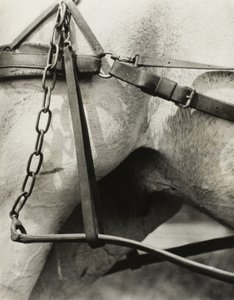 Amérique spirituelle : Chansons du ciel A1 - Alfred Stieglitz