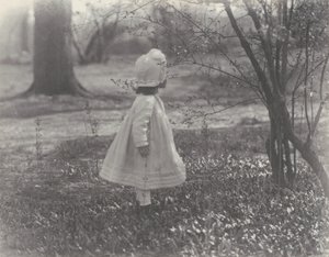  - Alfred Stieglitz