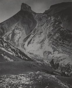  - Alfred Stieglitz