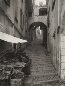  - Alfred Stieglitz