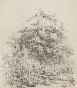 Lieu de sépulture indien, Oregon, 1841 - Alfred Thomas Agate