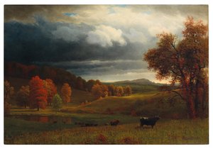 Paysage d