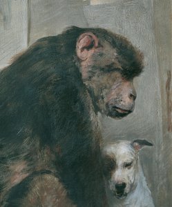 Singe et chien - Alfred Wesemann
